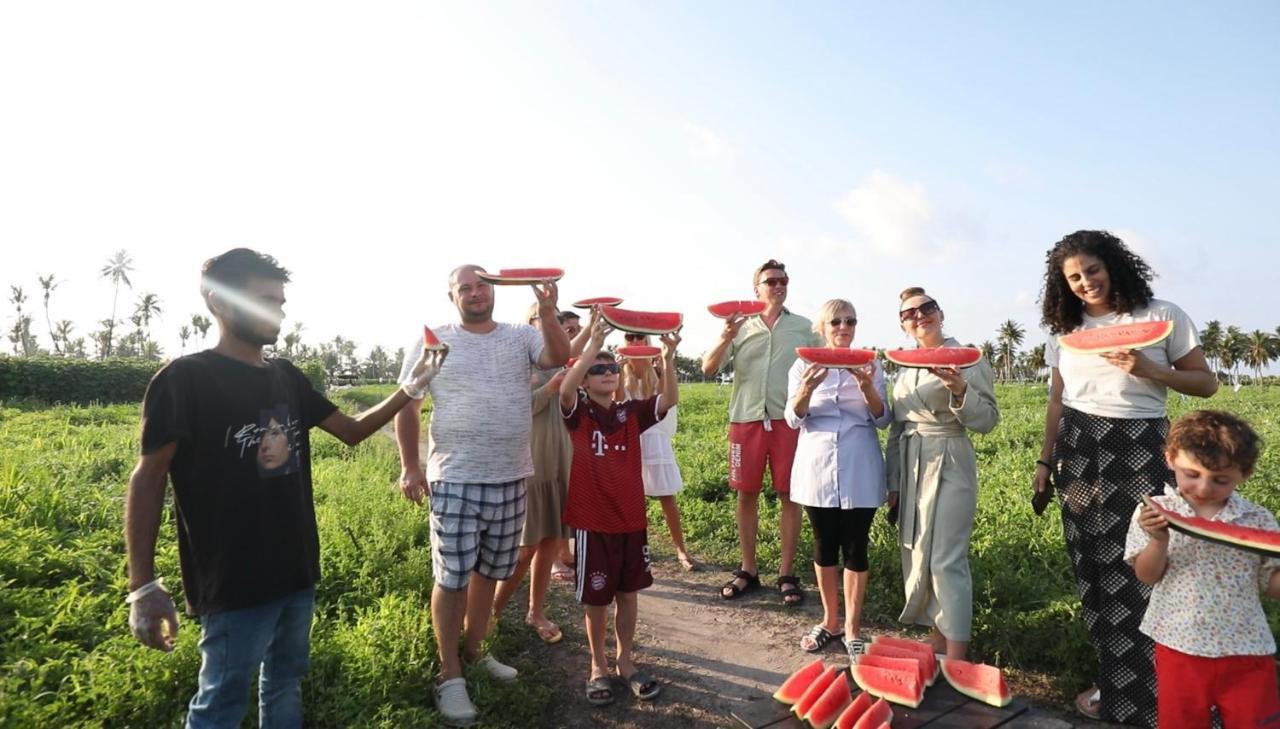 Thoddoo Beach Holiday מראה חיצוני תמונה