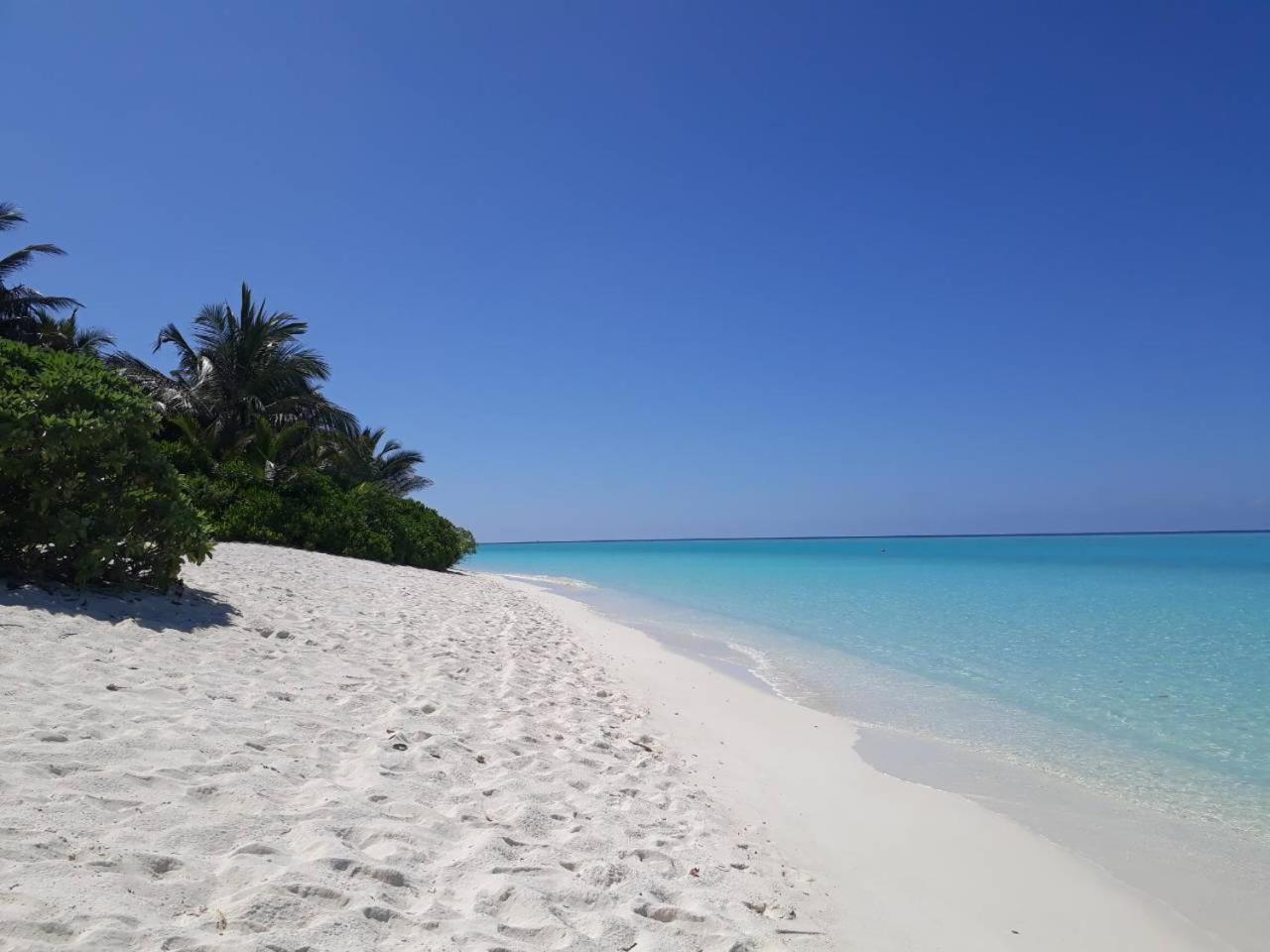 Thoddoo Beach Holiday מראה חיצוני תמונה
