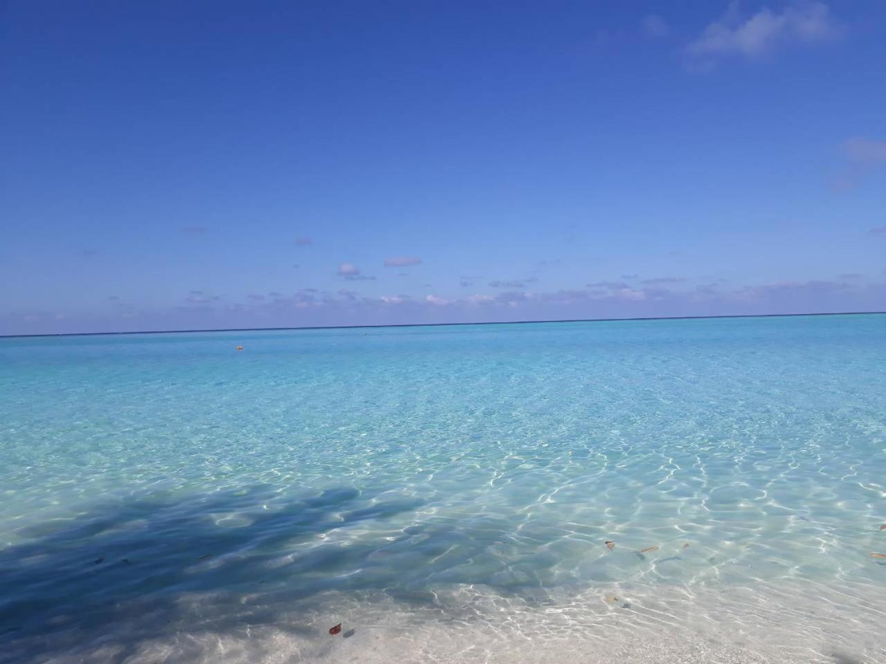 Thoddoo Beach Holiday מראה חיצוני תמונה