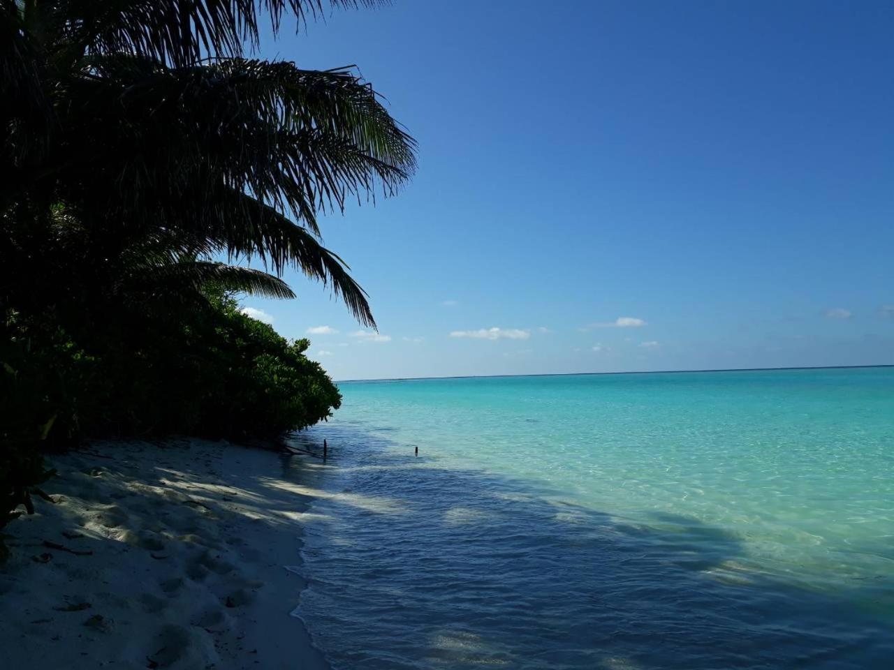 Thoddoo Beach Holiday מראה חיצוני תמונה