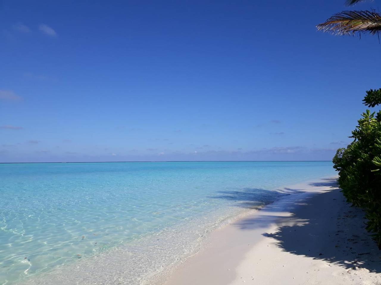 Thoddoo Beach Holiday מראה חיצוני תמונה