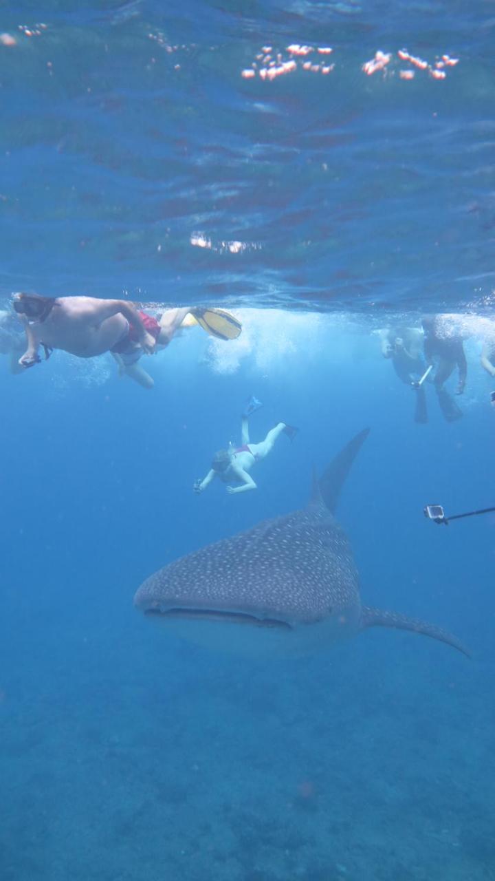Thoddoo Beach Holiday מראה חיצוני תמונה